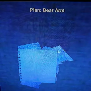 5 Bear Arm Plans