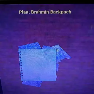 Brahmin Backpack