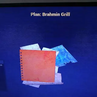 Brahmin Grill