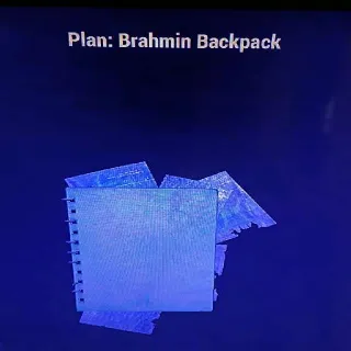 Brahmin Backpack