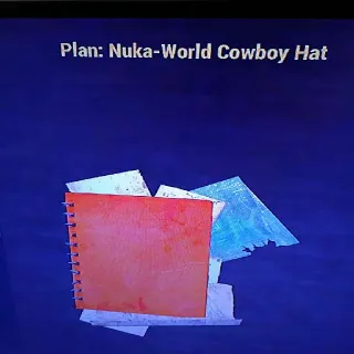 N W Cowboy Hat