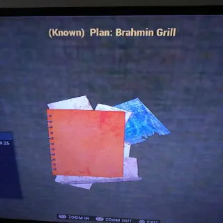 Brahmin Grill