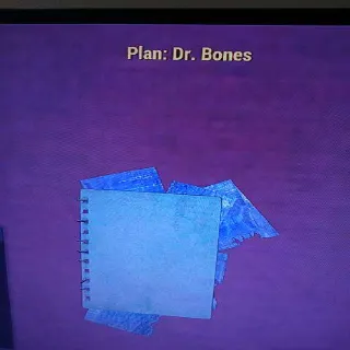 Dr Bones