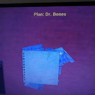 Dr Bones