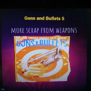 100 Guns And Bullets 5