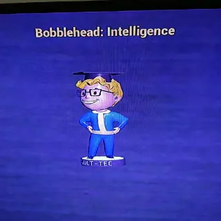 50 Intelligence Bobblehe