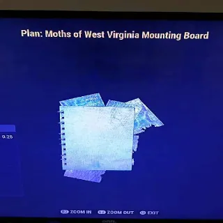 Moths Mounting Board