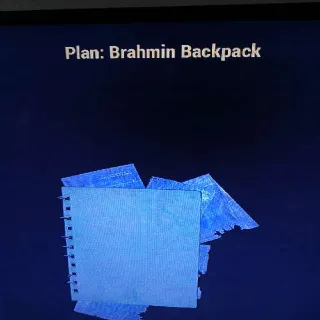 Brahmin Backpack