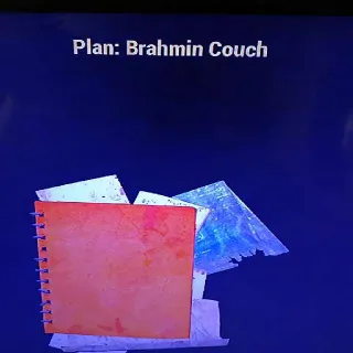 Brahmin Couch