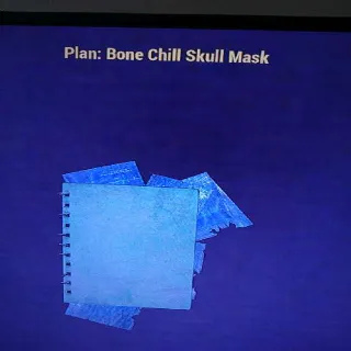 Bone Chill Skull Mask