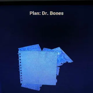 Dr Bones