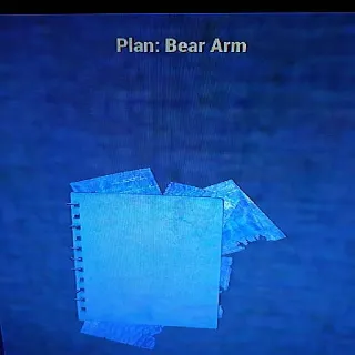 20 Bear Arm Plans
