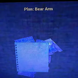 Bear Arm