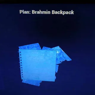 Brahmin Backpack