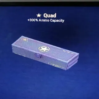 Quad Mod