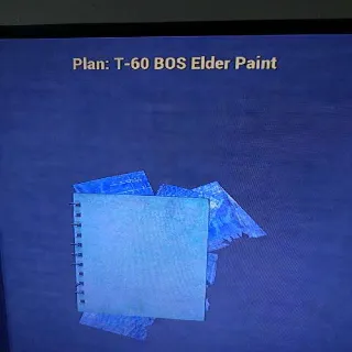 T60 Bos Elder Paint