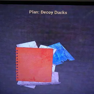 Decoy Ducks