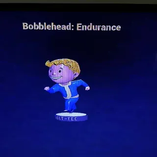 100 Endurance Bobblehead
