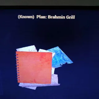 Brahmin Grill