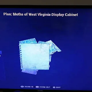 Moths Display Cabinet