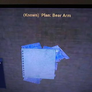 Bear Arm