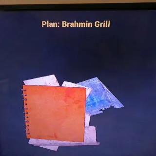 Brahmin Grill