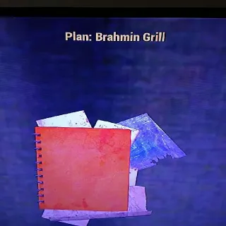 5 Brahmin Grill Plans