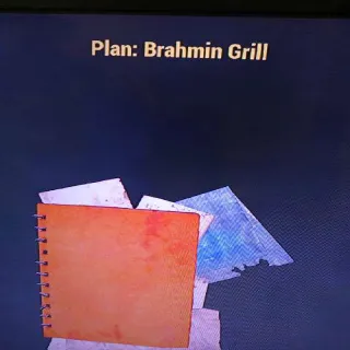 Brahmin Grill