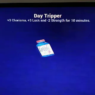 500 Day Tripper