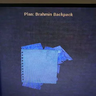 Brahmin Backpack