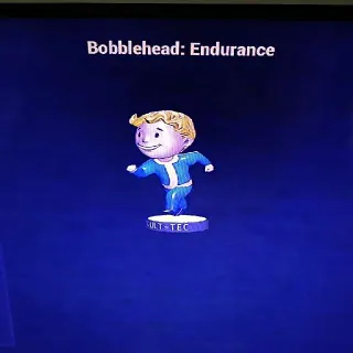 100 Endurance Bobblehead