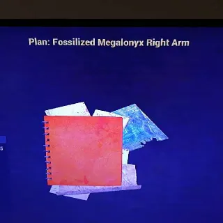F Megalonyx Right Arm