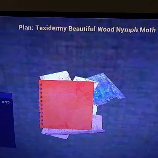 Taxidermy Beautiful Wood