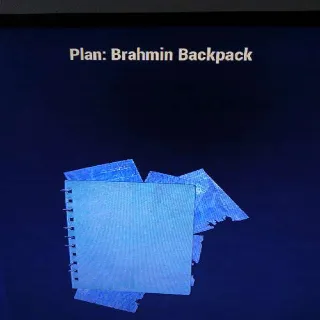 Brahmin Backpack