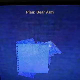 5 Bear Arm Plans