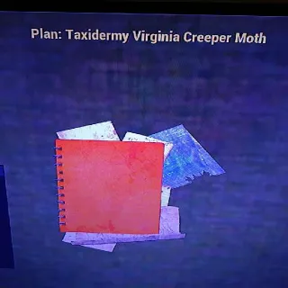Taxidermy Virginia Creep