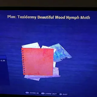 Taxidermy Beautiful Wood