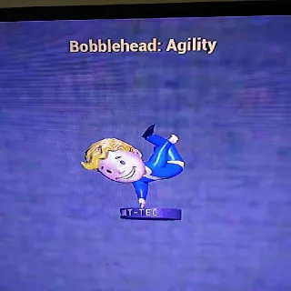 100 Agility Bobbleheads