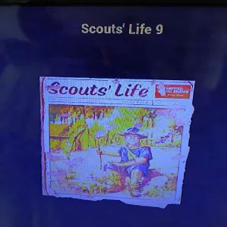 100 Scout's Life 9