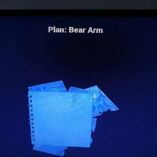 Bear Arm