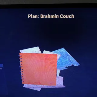 Brahmin Couch