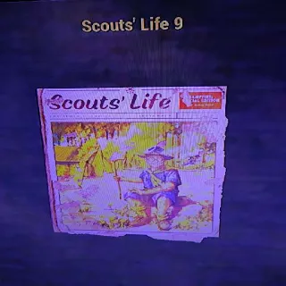 100 Scout's Life 9