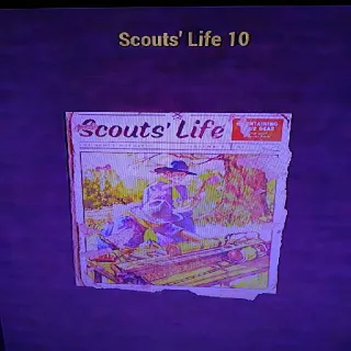 100 Scout's Life 10