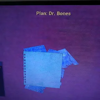 Dr Bones