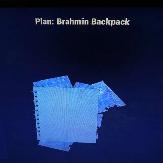 Brahmin Backpack