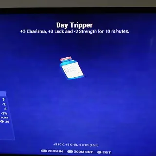 200 Day Tripper