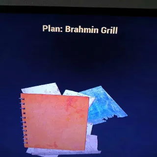 Brahmin Grill