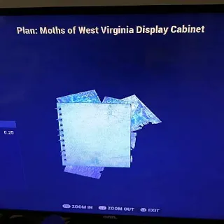 Moths Display Cabinet