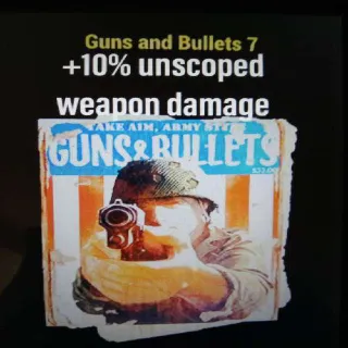 250 Guns And Bullets 7