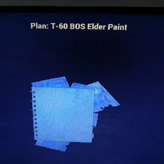 T60 Bos Elder Paint